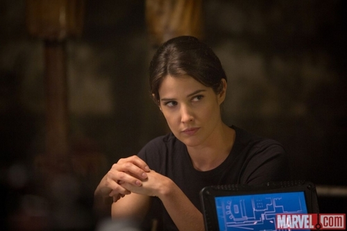 cobie-smulders-stars-as-agent-maria-hill-in-captain-america-the-winter-soldier.jpg